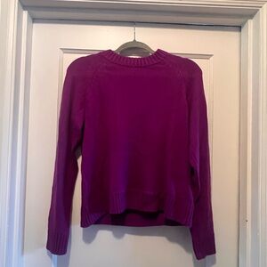 Purple Gap Women's Sweater